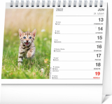 Mačky – s menami mačiek /Presco Group/ - Stolový kalendár 2022