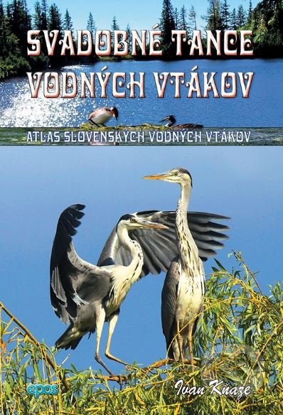 Svadobné tance vodných vtákov - Atlas slovenských vodných vtákov