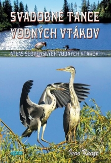Svadobné tance vodných vtákov - Atlas slovenských vodných vtákov