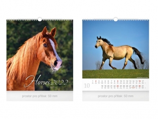 Horses /MFP/ - Nástenný kalendár 2022