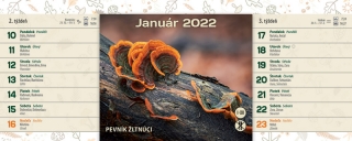 Huby /Press Group/ - Stolový kalendár 2022