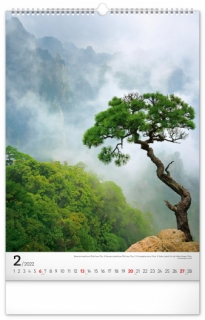 Trees - Stromy /Presco Group/ - Nástenný kalendár 2022