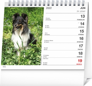 Psy – s menami psov /Presco Group/ - Stolový kalendár 2022