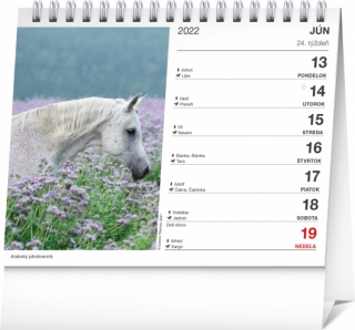 Poézia koní /Presco Group/ - Stolový kalendár 2022