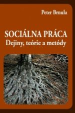 Sociálna práca - Dejiny, teórie a metódy 