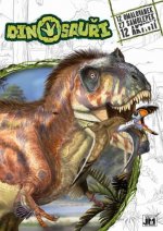 Dinosaury - 12 vymaľovaniek, 27 samolepiek, 12 aktivit