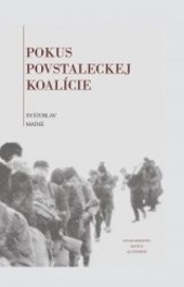Pokus povstaleckej koalície 