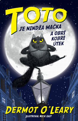 Toto je nindža mačka a obrí kobrí útek - Toto je nindža mačka 1.