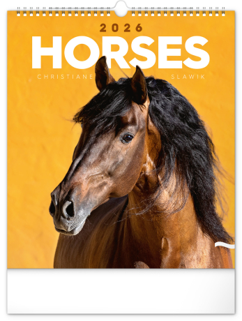 Kone - Horses /Presco Group/ - Nástenný kalendár 2026