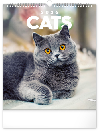 Mačky - Cats /Presco Group/ - Nástenný kalendár 2026