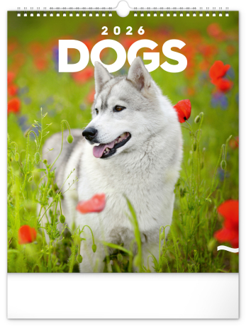 Psy - Dogs /Presco Group/ - Nástenný kalendár 2026